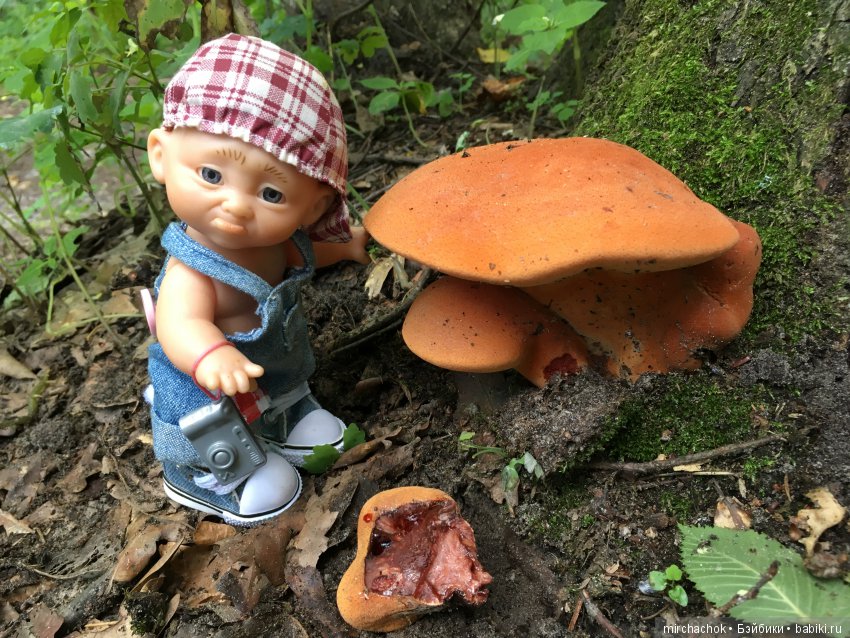 В погоне за дождиком а ещё небольшой урок по «грибологии» от Даньки