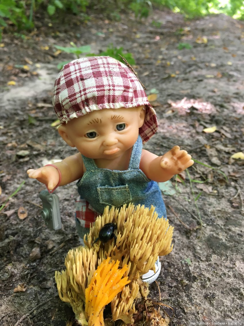 В погоне за дождиком а ещё небольшой урок по «грибологии» от Даньки