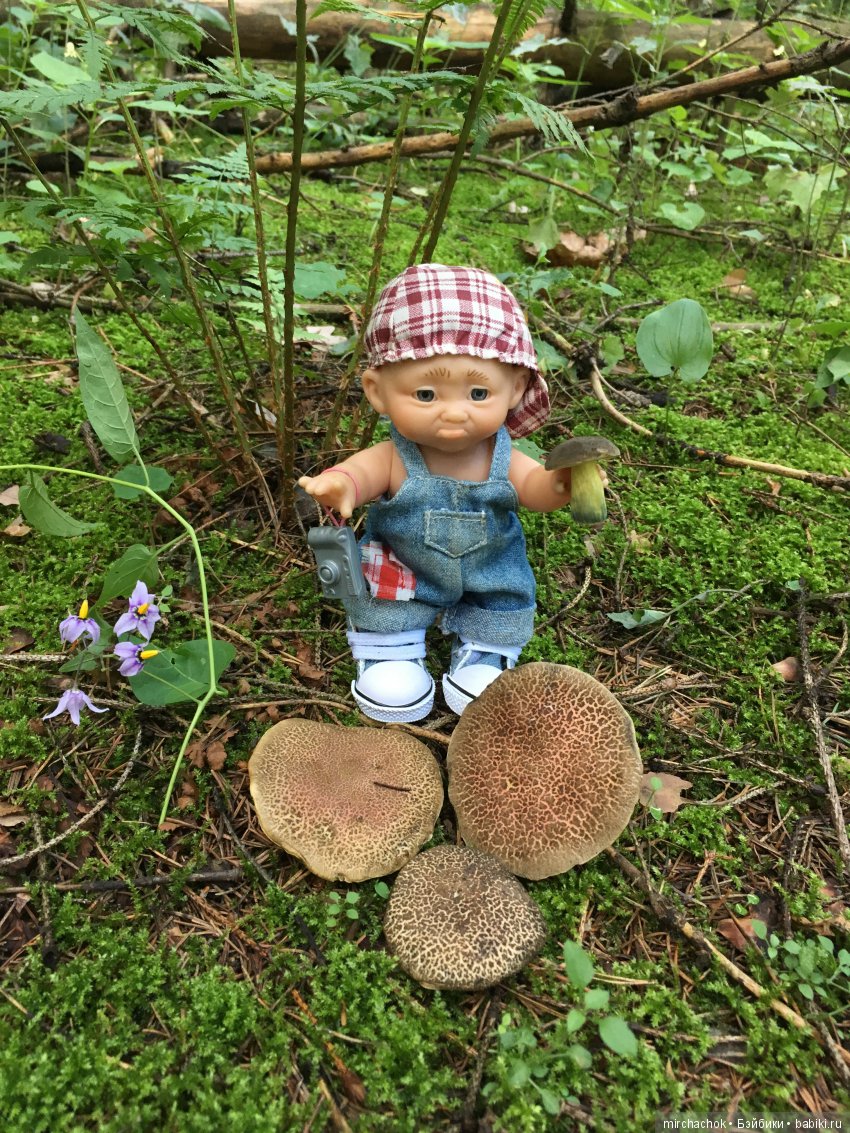 В погоне за дождиком а ещё небольшой урок по «грибологии» от Даньки