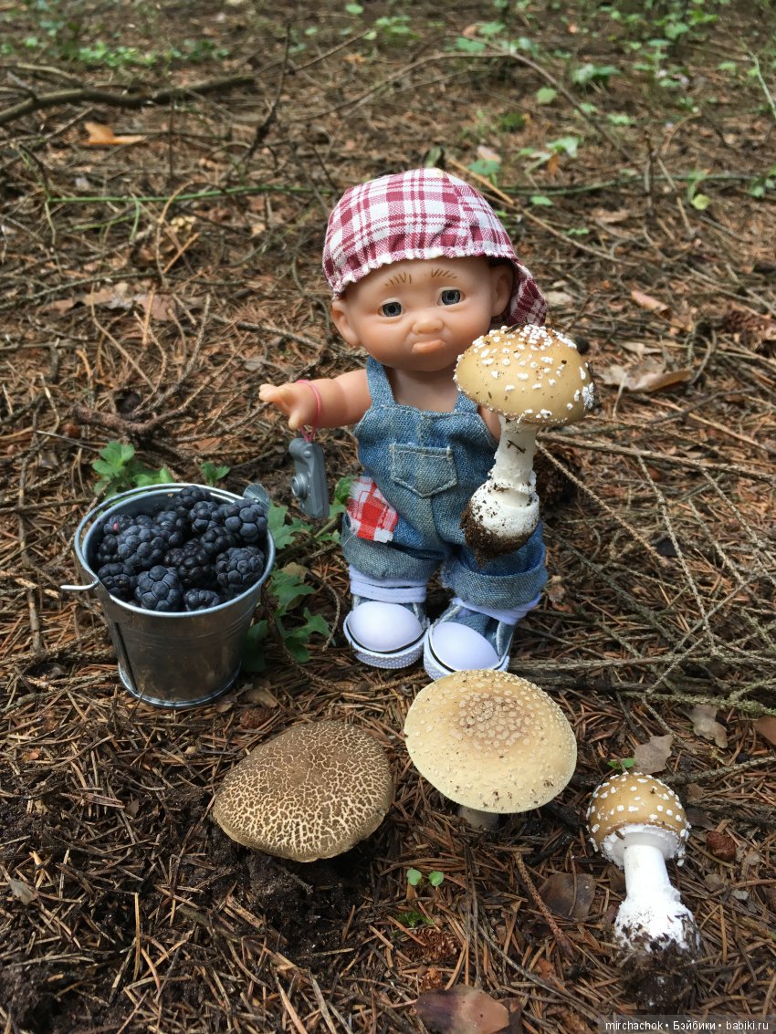 В погоне за дождиком а ещё небольшой урок по «грибологии» от Даньки