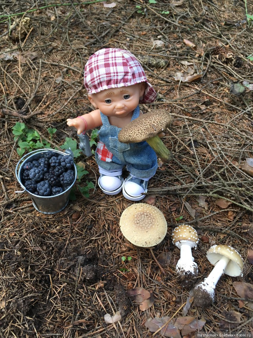 В погоне за дождиком а ещё небольшой урок по «грибологии» от Даньки