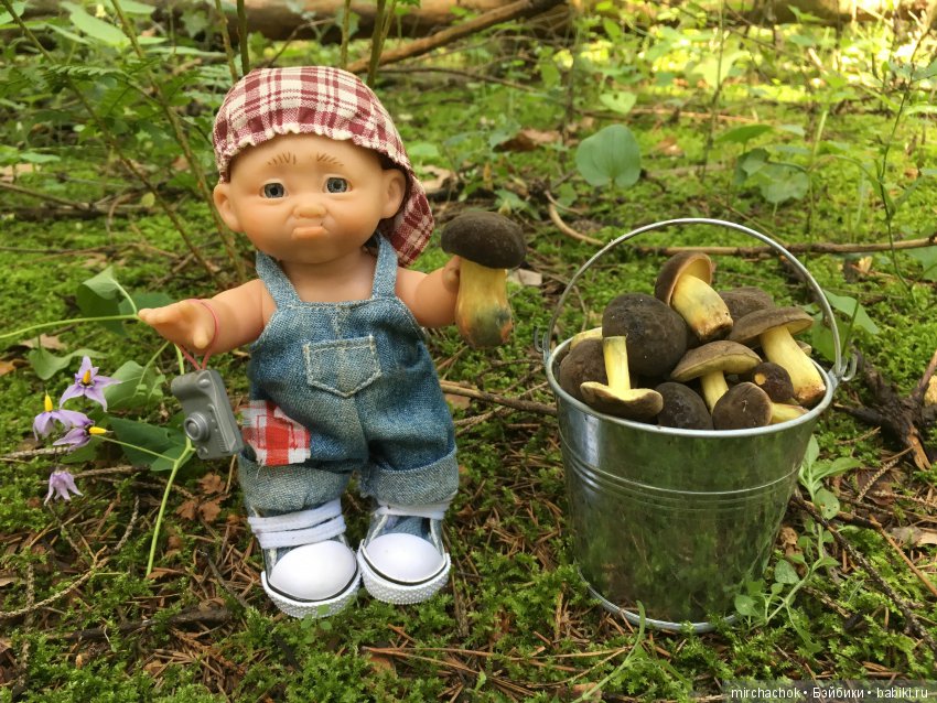 В погоне за дождиком а ещё небольшой урок по «грибологии» от Даньки