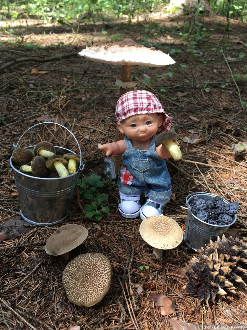 В погоне за дождиком а ещё небольшой урок по «грибологии» от Даньки