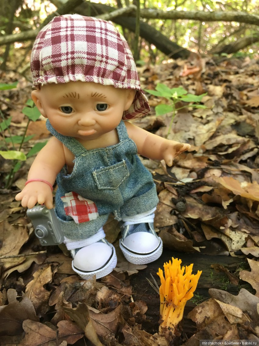 В погоне за дождиком а ещё небольшой урок по «грибологии» от Даньки