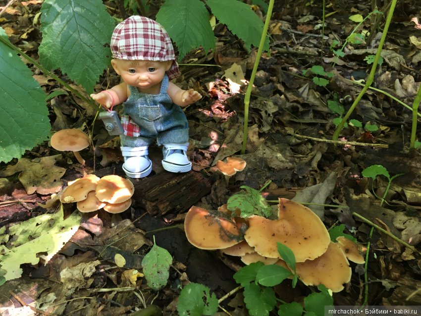 В погоне за дождиком а ещё небольшой урок по «грибологии» от Даньки (фото 8)