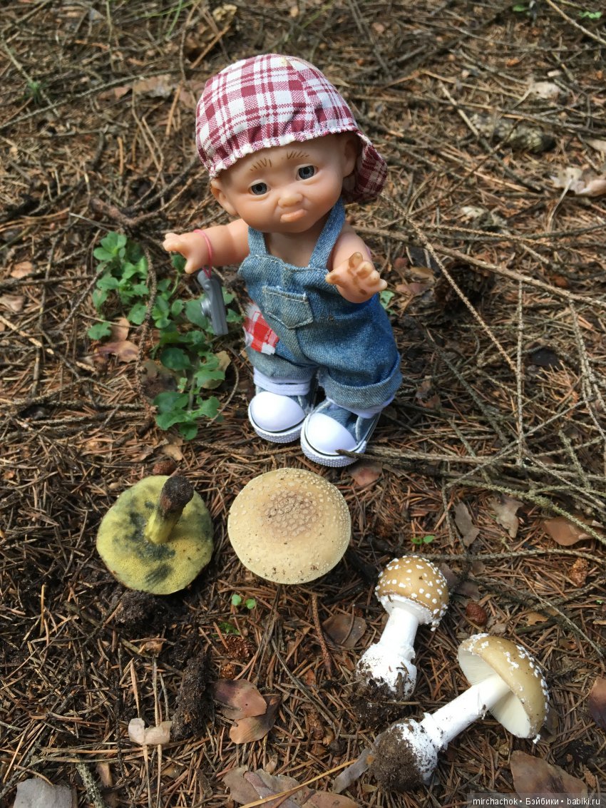 В погоне за дождиком а ещё небольшой урок по «грибологии» от Даньки