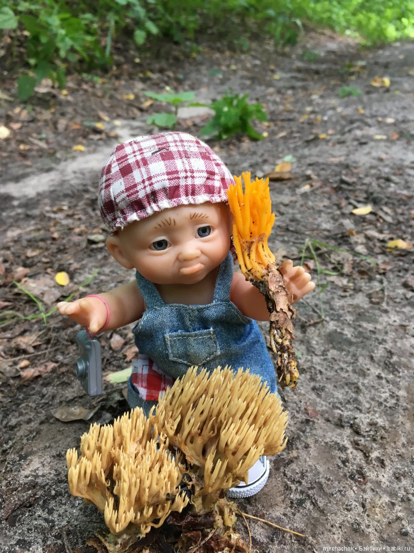 В погоне за дождиком а ещё небольшой урок по «грибологии» от Даньки