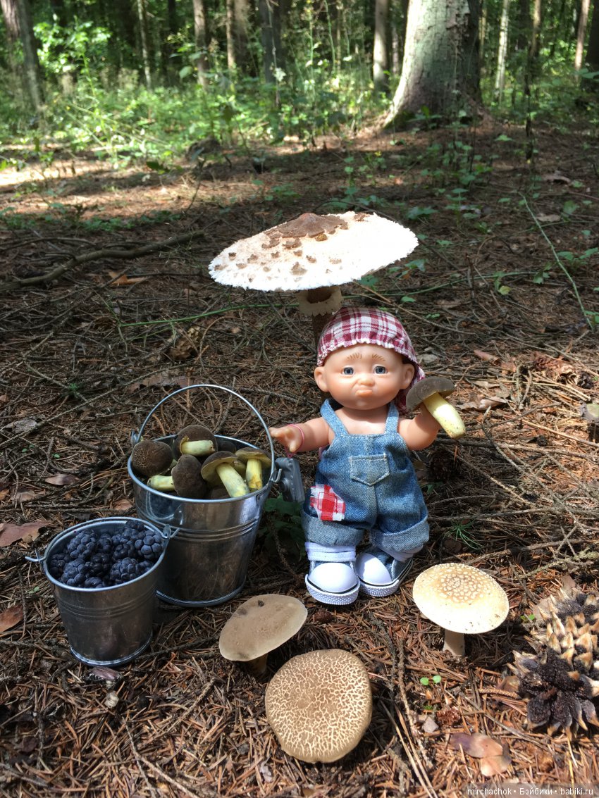 В погоне за дождиком а ещё небольшой урок по «грибологии» от Даньки