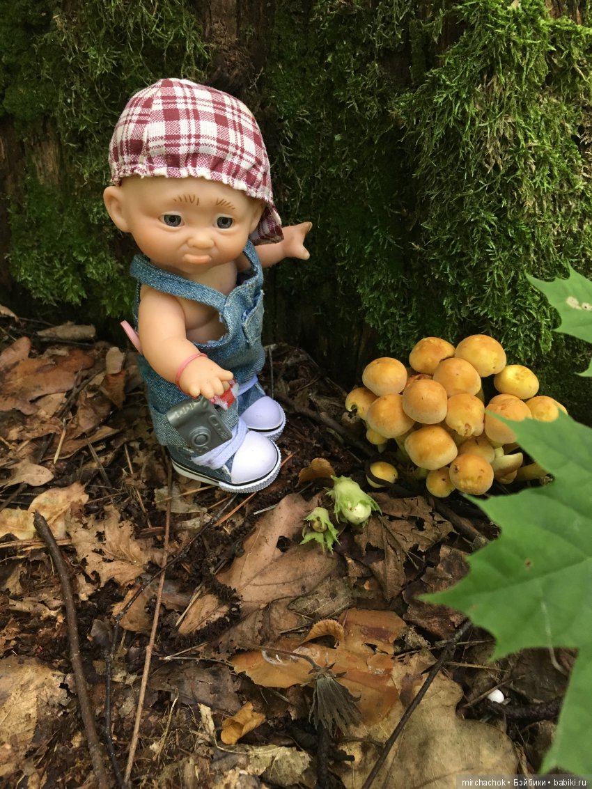 В погоне за дождиком а ещё небольшой урок по «грибологии» от Даньки (фото 5)