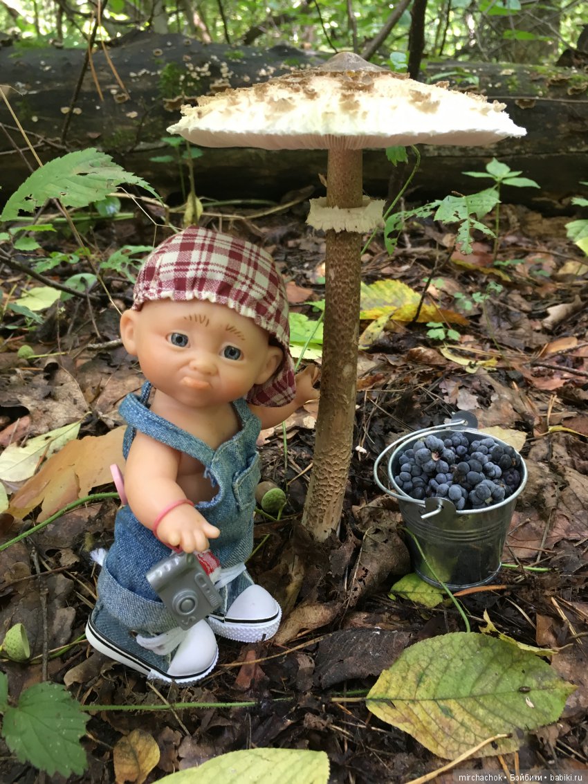 В погоне за дождиком а ещё небольшой урок по «грибологии» от Даньки