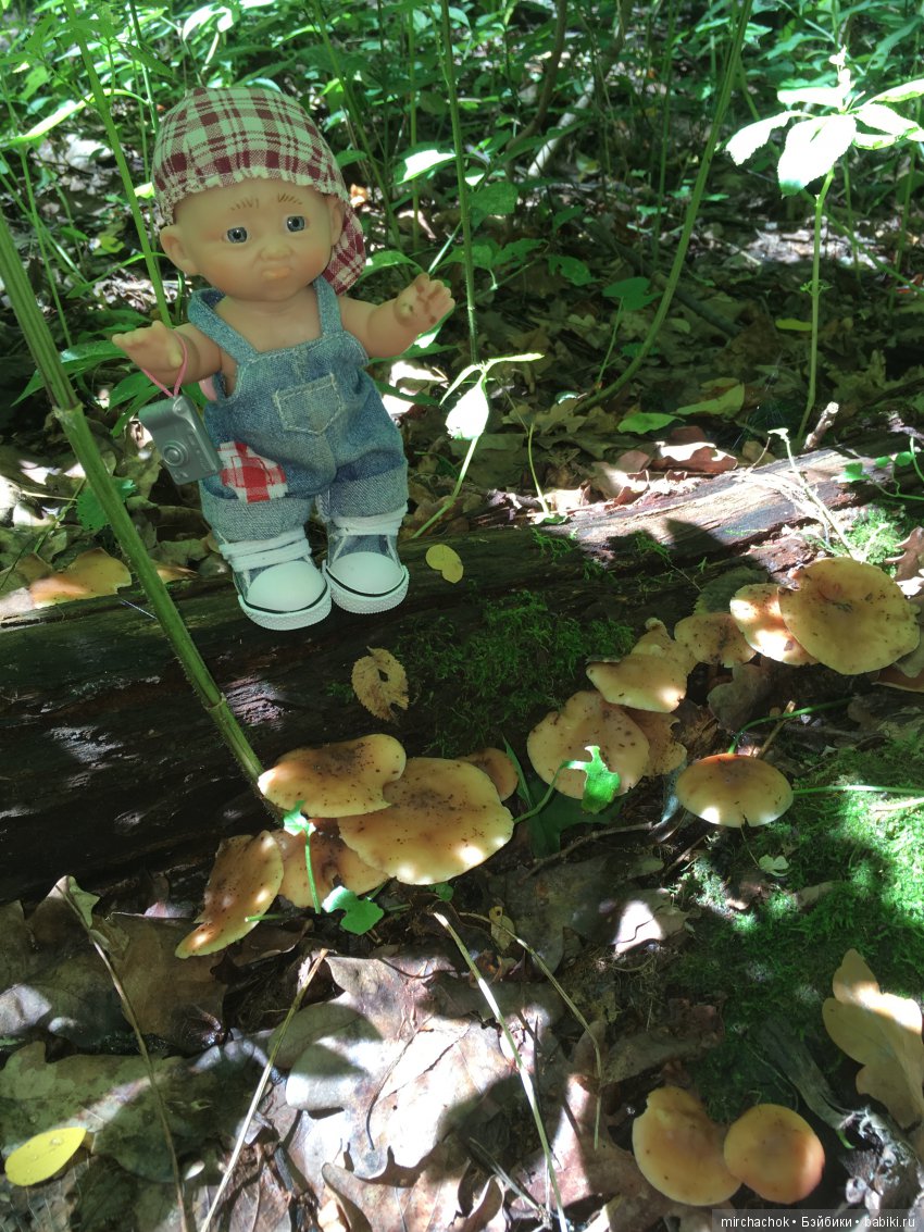 В погоне за дождиком а ещё небольшой урок по «грибологии» от Даньки (фото 9)