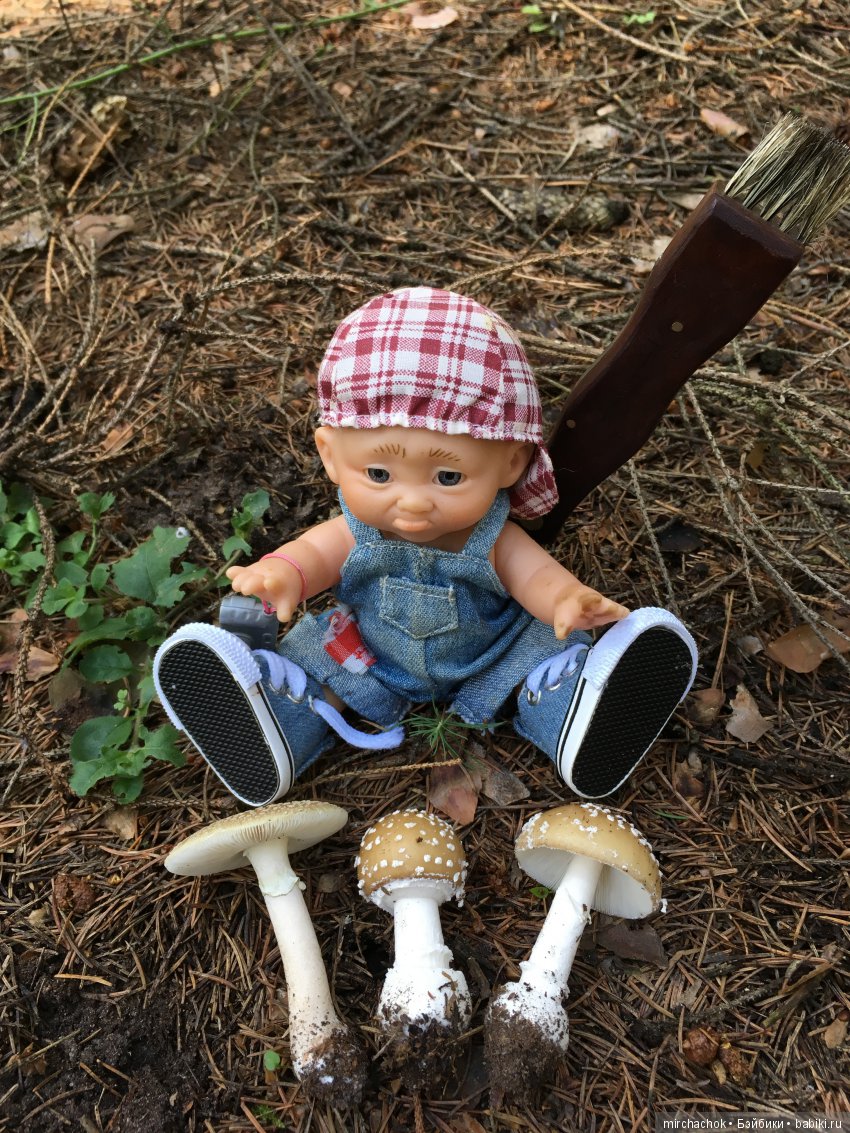 В погоне за дождиком а ещё небольшой урок по «грибологии» от Даньки