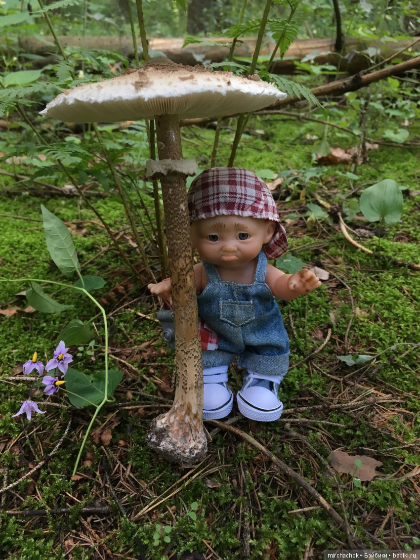 В погоне за дождиком а ещё небольшой урок по «грибологии» от Даньки