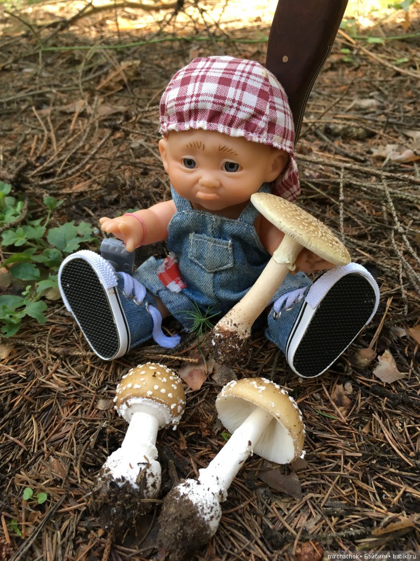 В погоне за дождиком а ещё небольшой урок по «грибологии» от Даньки