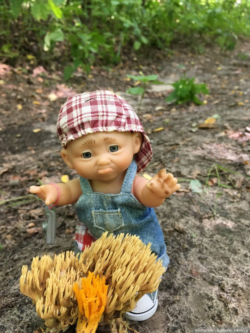 В погоне за дождиком а ещё небольшой урок по «грибологии» от Даньки