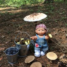 В погоне за дождиком а ещё небольшой урок по «грибологии» от Даньки