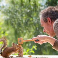 Белка песенки поёт, да орешки всё грызёт