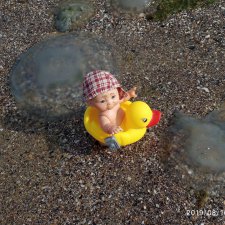 Данька на отдыхе