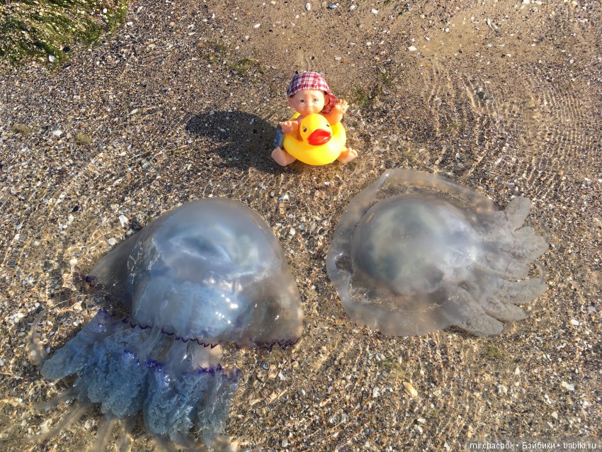 Данька на отдыхе:) преодолеваем страхи (фото 4)