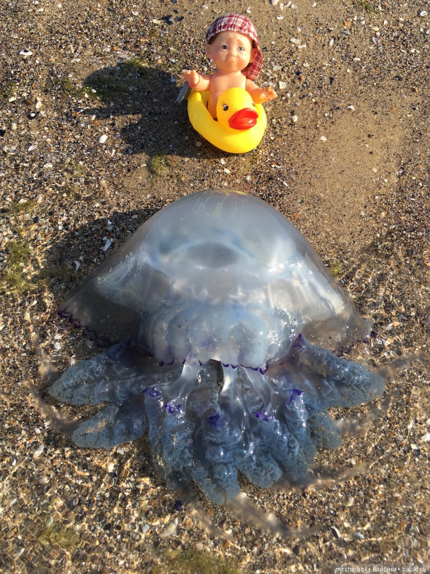 Данька на отдыхе:) преодолеваем страхи (фото 2)