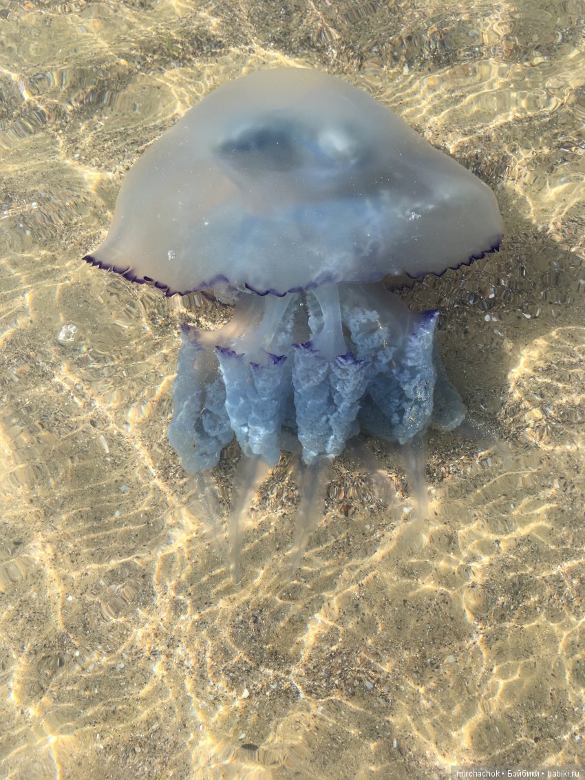 Данька на отдыхе:) преодолеваем страхи