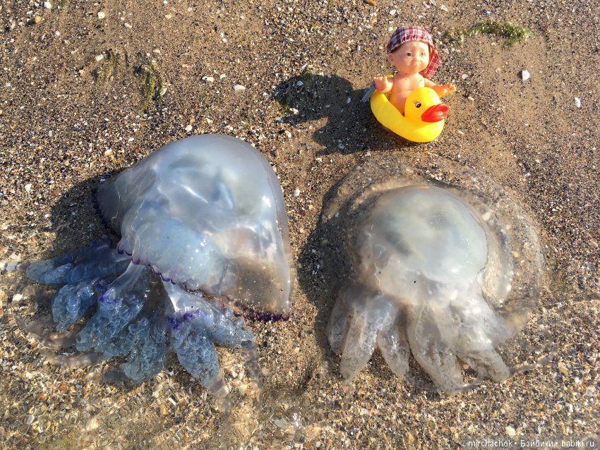 Данька на отдыхе:) преодолеваем страхи (фото 3)