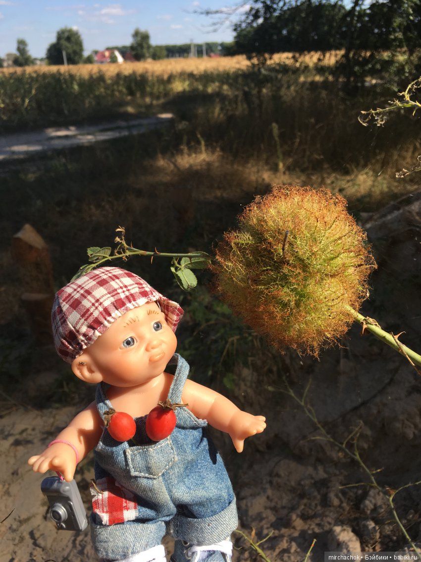 Первая вылазка в лес после отпуска (фото 6)