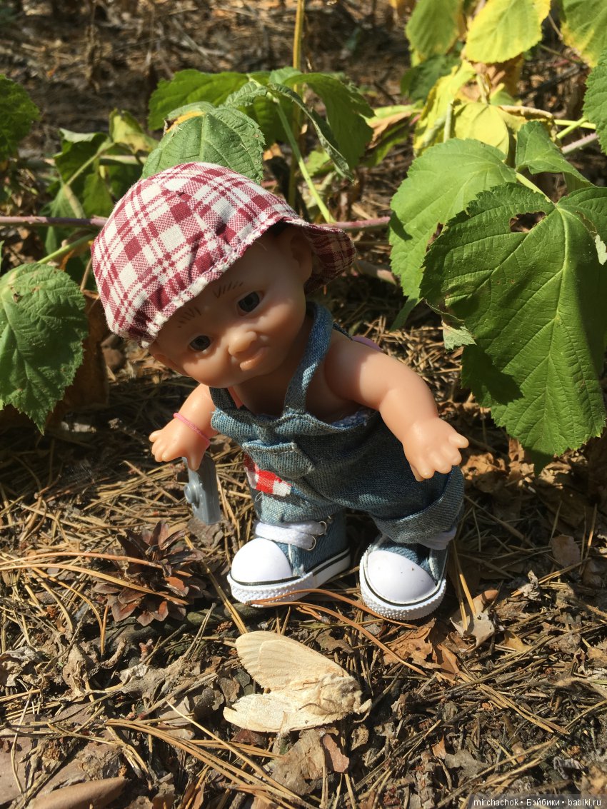 Первая вылазка в лес после отпуска