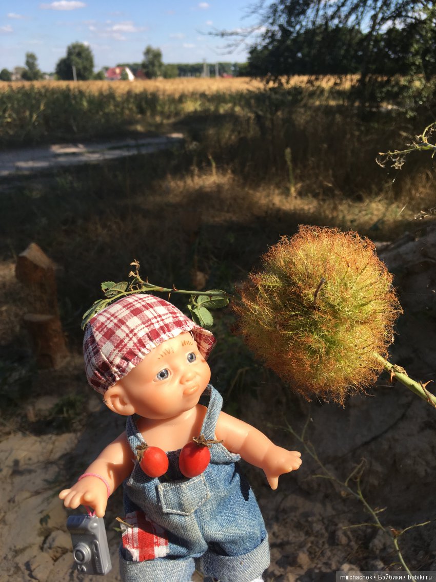 Первая вылазка в лес после отпуска (фото 5)