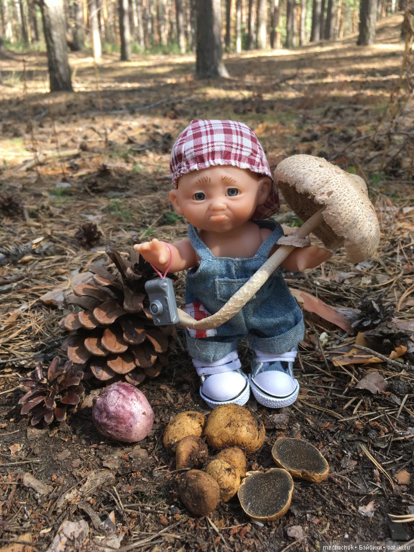 Первая вылазка в лес после отпуска (фото 8)