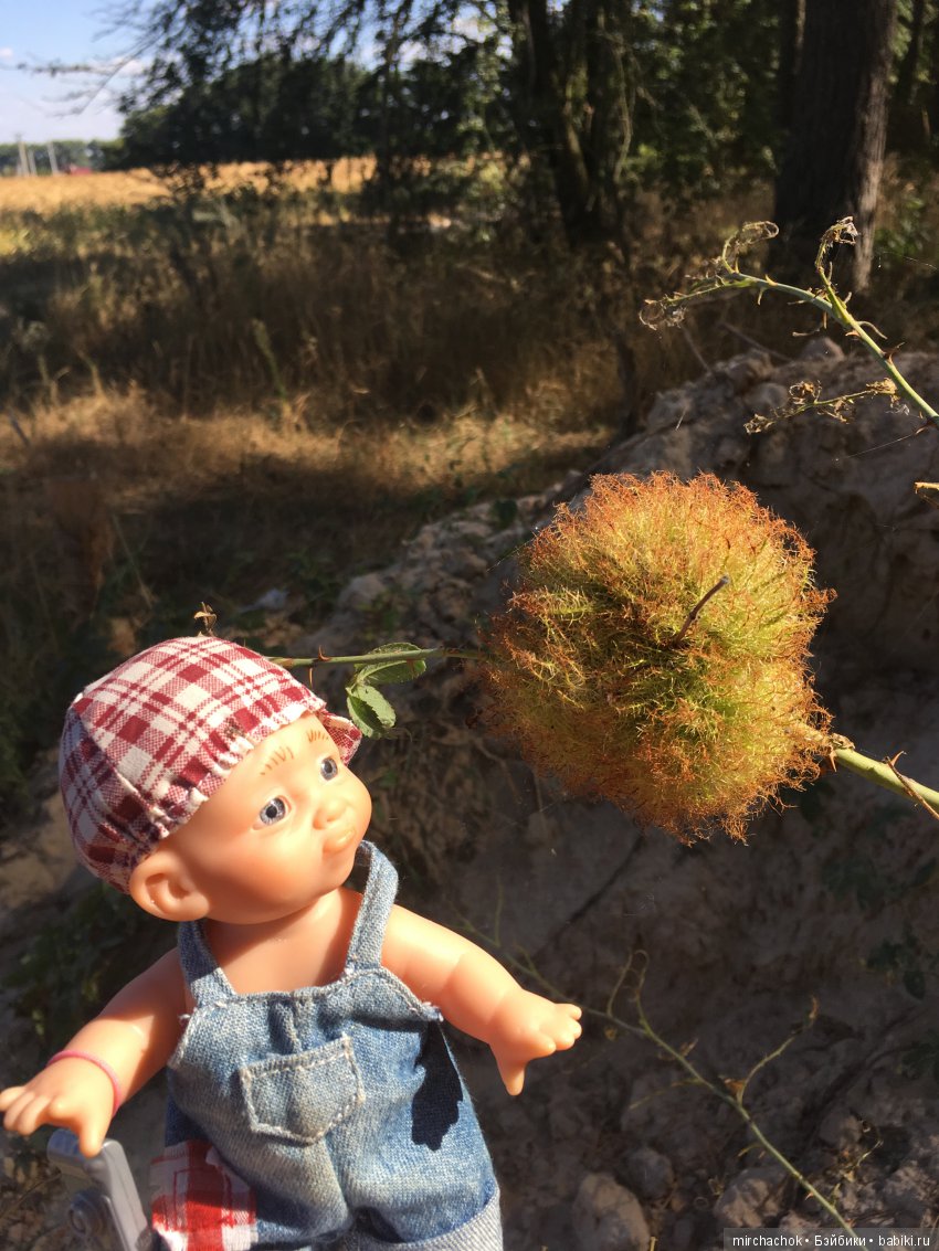 Первая вылазка в лес после отпуска (фото 3)