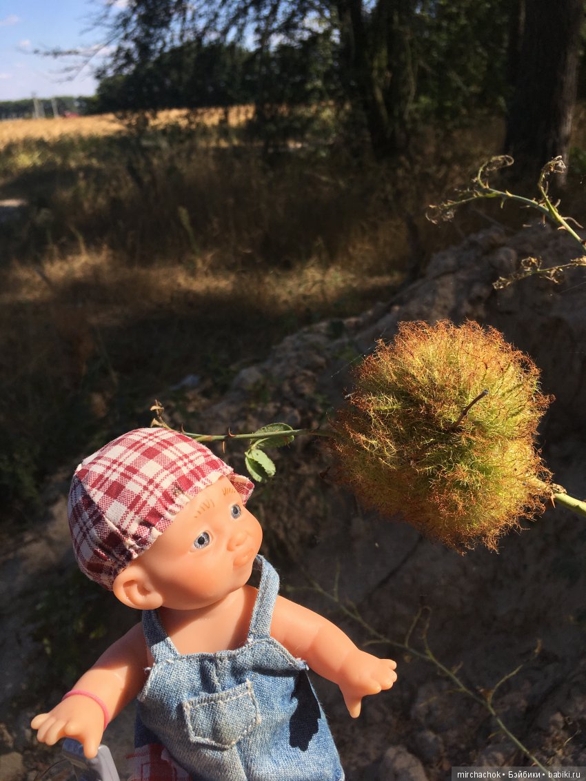 Первая вылазка в лес после отпуска (фото 4)