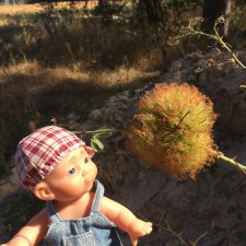 Первая вылазка в лес после отпуска