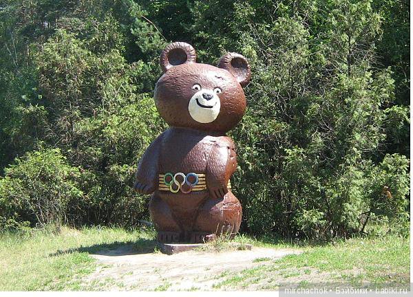 Очередная приятная встреча в лесу (фото 3)