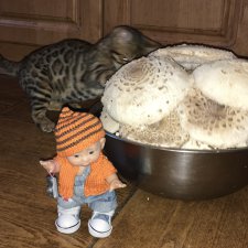 Как Данька за зонтиками ходил