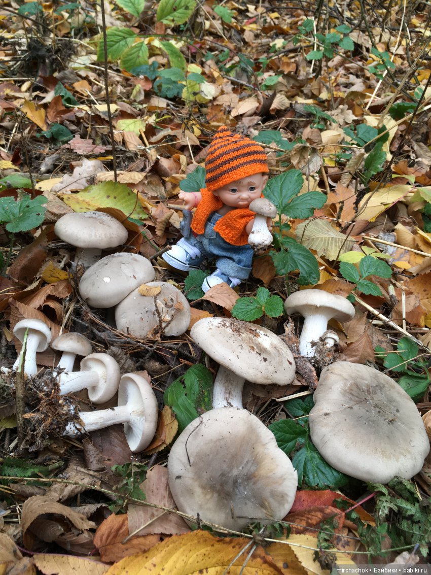 Данькина грибная школа — Куклы D'Anton Jos (Д'Антон Джос): характерные