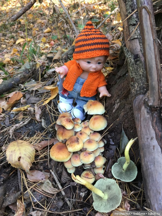 Данькина грибная школа — Куклы D'Anton Jos (Д'Антон Джос): характерные
