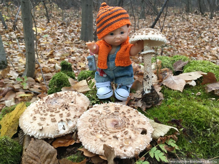 Данькина грибная школа — Куклы D'Anton Jos (Д'Антон Джос): характерные