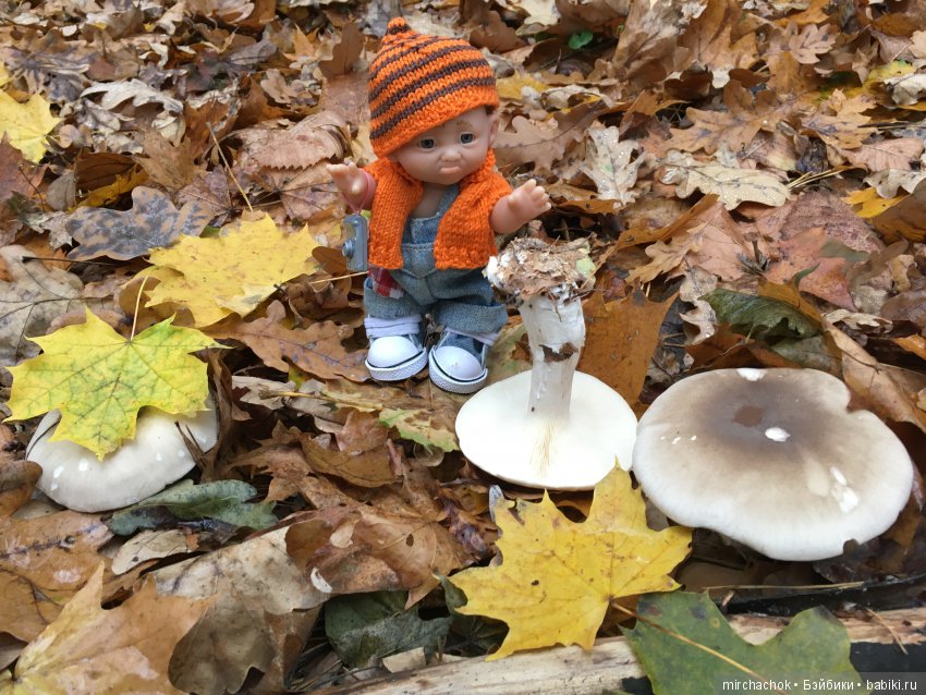 Данькина грибная школа — Куклы D'Anton Jos (Д'Антон Джос): характерные (фото 9)