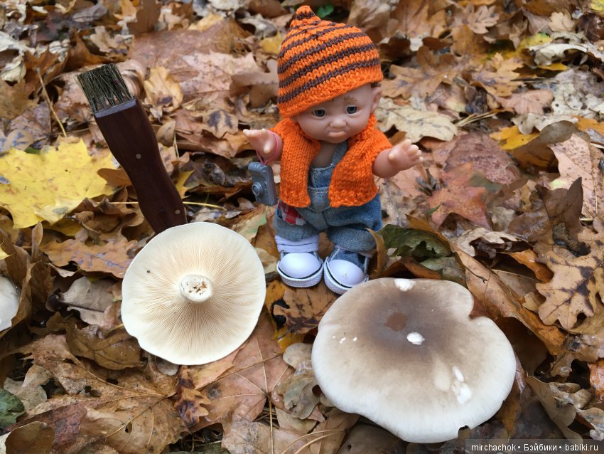 Данькина грибная школа — Куклы D'Anton Jos (Д'Антон Джос): характерные (фото 10)