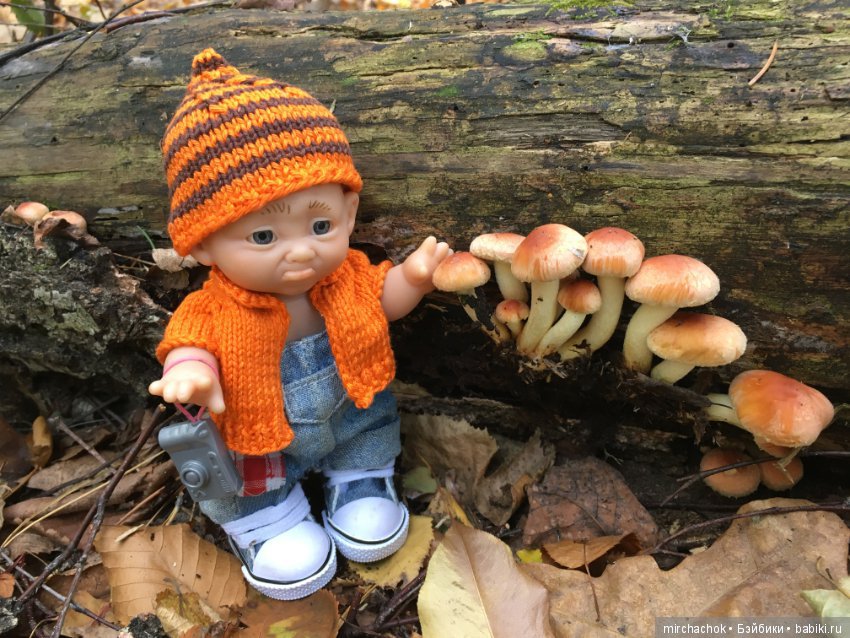 Данькина грибная школа — Куклы D'Anton Jos (Д'Антон Джос): характерные
