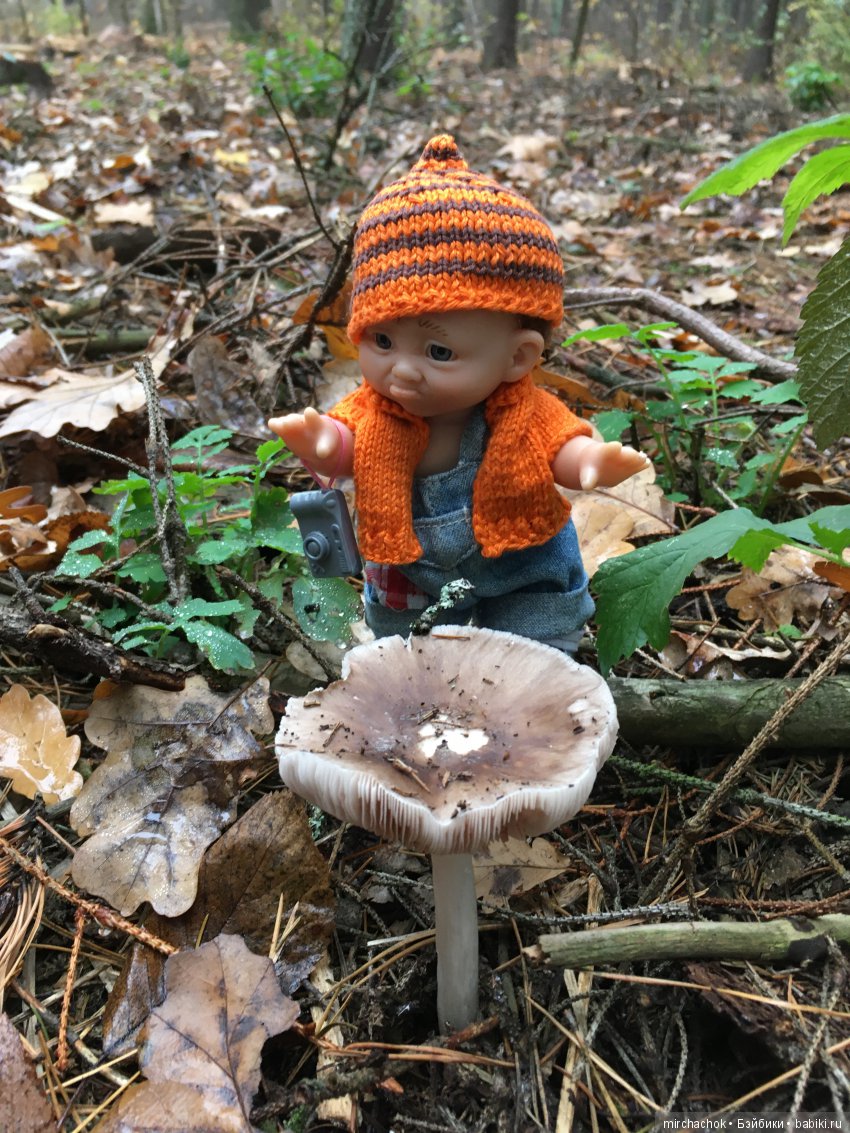 Данькина грибная школа — Куклы D'Anton Jos (Д'Антон Джос): характерные (фото 7)