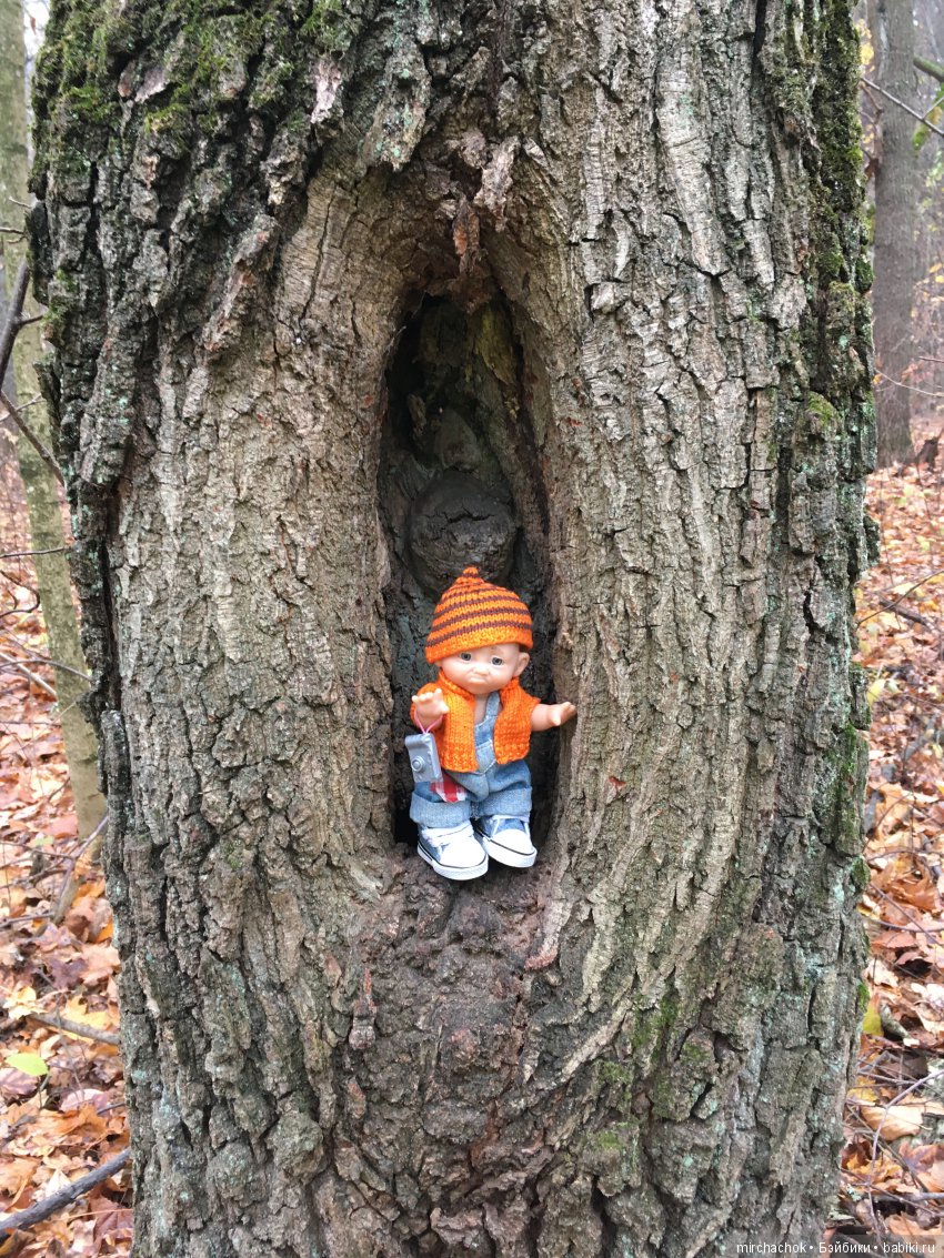 Данькина грибная школа — Куклы D'Anton Jos (Д'Антон Джос): характерные