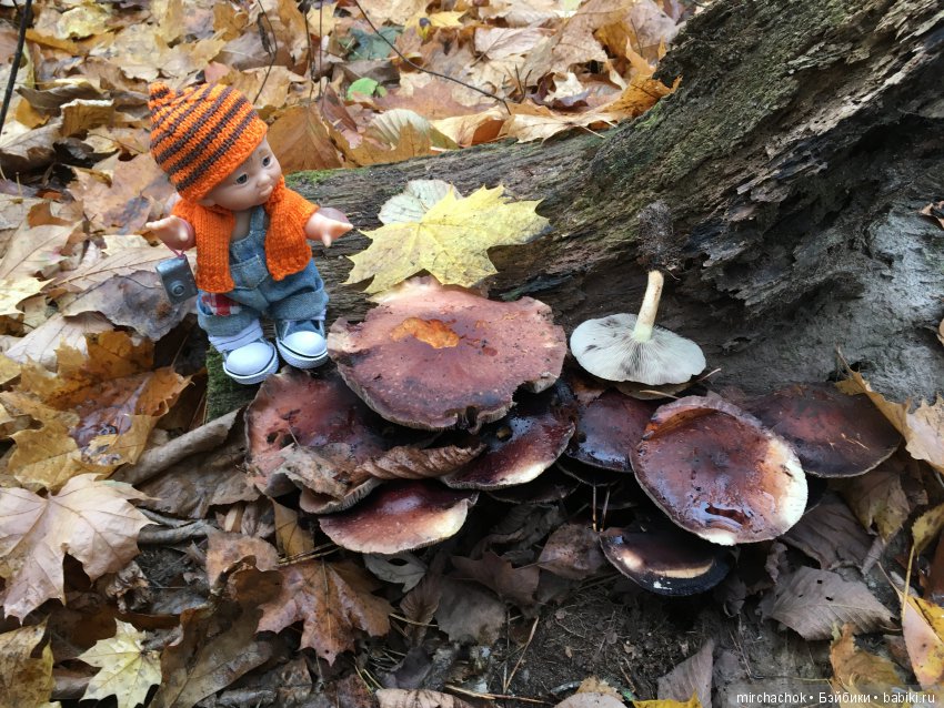 Данькина грибная школа — Куклы D'Anton Jos (Д'Антон Джос): характерные