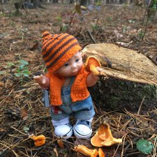 Данькина грибная школа