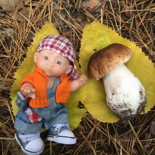 Данькина грибалка