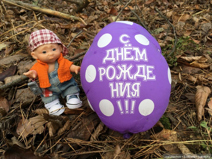 Ноябрьский тёплый день в лесу (фото 2)