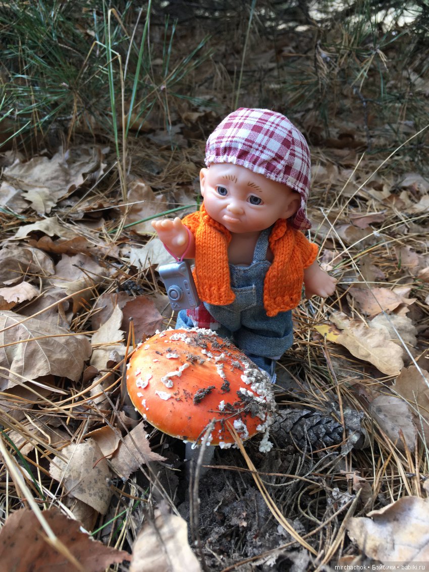 Ноябрьский тёплый день в лесу