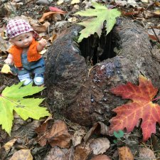 Ноябрьский тёплый день в лесу