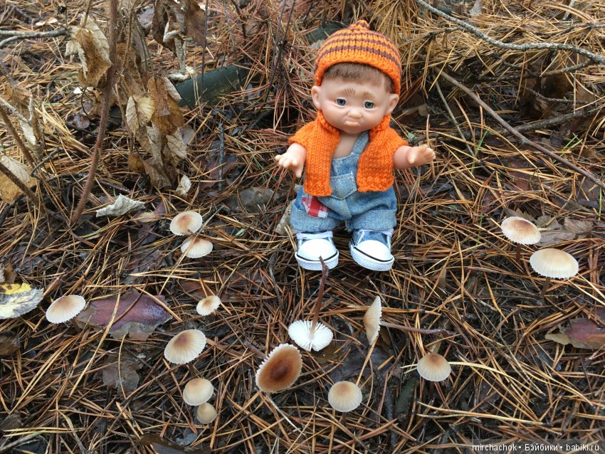 Засентябрило в Ноябре, засентябрило (фото 7)